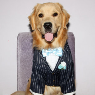 Golden Retriever Gut gefallen Vatertag Feiertagskarte