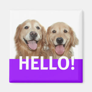 Golden retriever hallo magnet