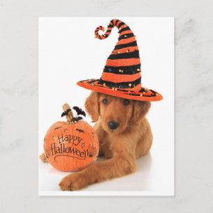 Golden Retriever Halloween Design Postkarte