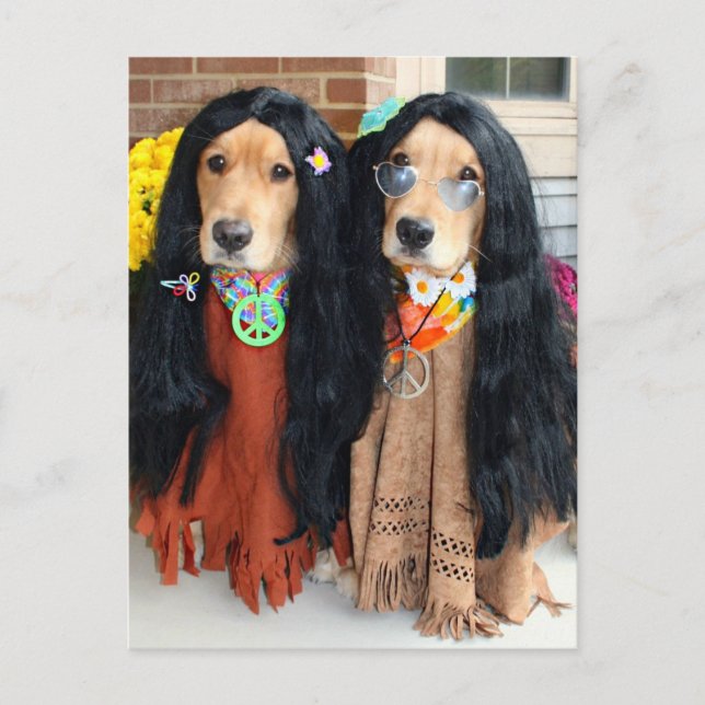 Golden Retriever Halloween Feiertagspostkarte (Vorderseite)