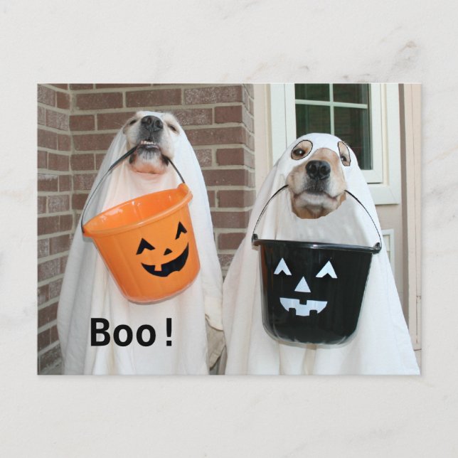 Golden Retriever Halloween Ghosts Postkarte (Vorderseite)