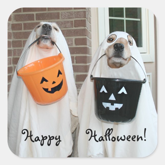 Golden Retriever Halloween Ghosts Quadratischer Aufkleber (Vorderseite)