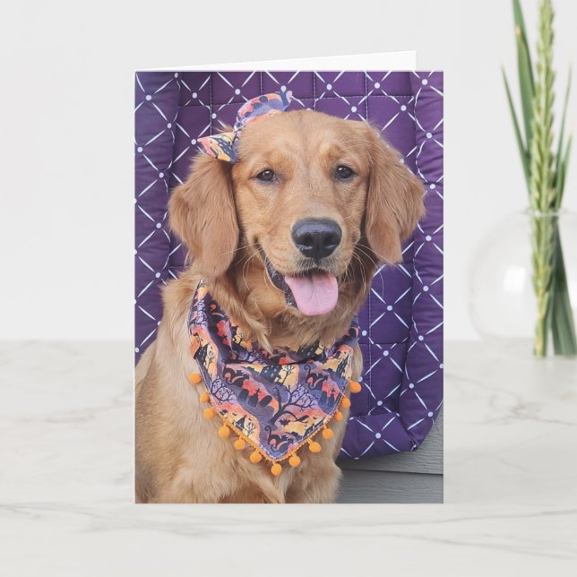 Golden Retriever Halloween greeting card Karte (Vorderseite)