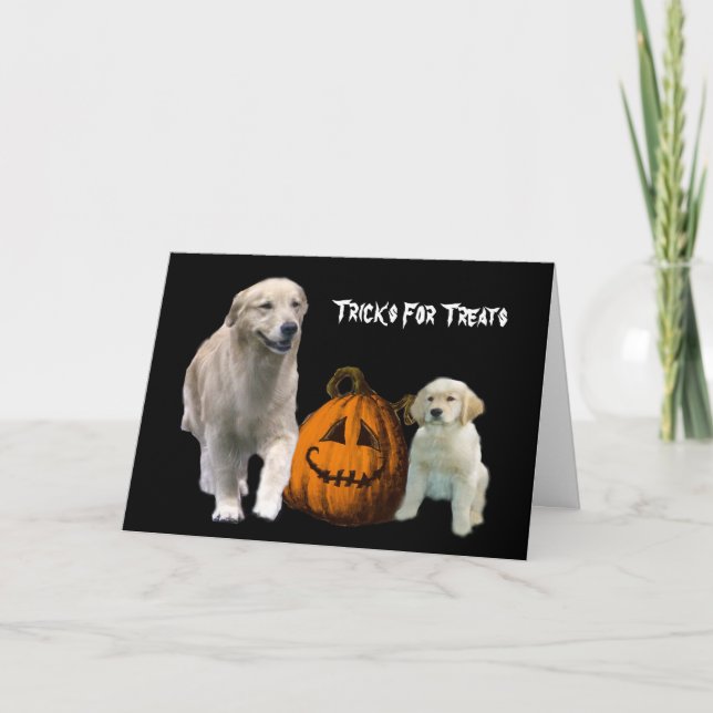Golden Retriever Halloween Grußkarte Karte (Vorderseite)