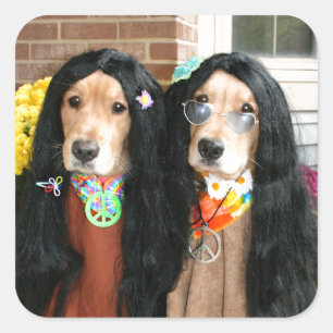 Golden Retriever Halloween Hippie Quadratischer Aufkleber