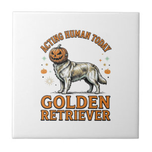 Golden Retriever Halloween-Kürbis-Hundekostüm-Shir Fliese