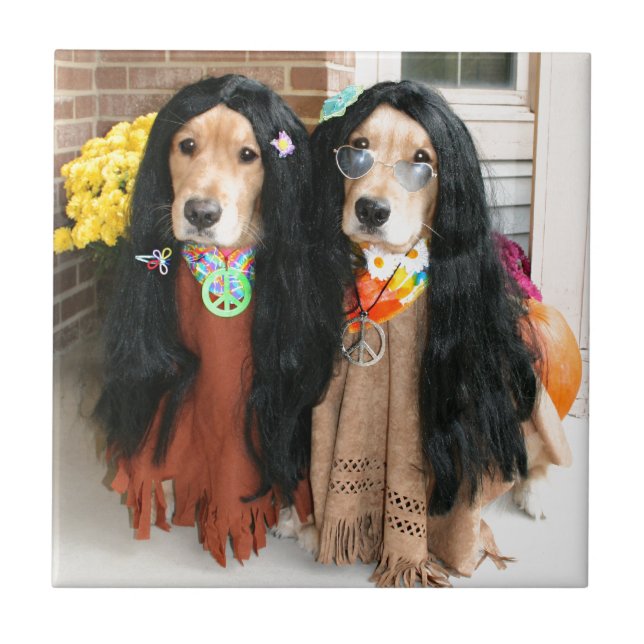 Golden retriever-HalloweenHippie Fliese (Vorderseite)