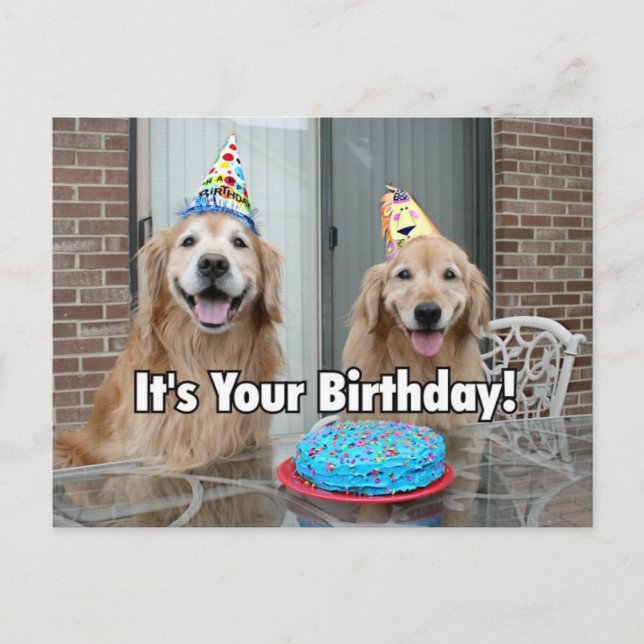 Golden Retriever Happy Birthday Cake Postkarte (Vorderseite)