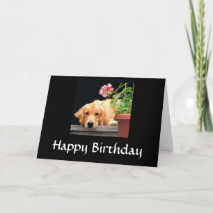 Golden Retriever Happy Birthday Card Karte