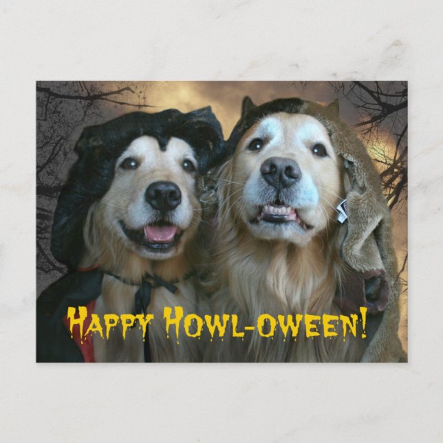 Golden Retriever Happy Howl-ween Postkarte (Vorderseite)