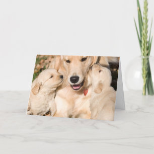 Golden Retriever Happy Mother Day Card Karte
