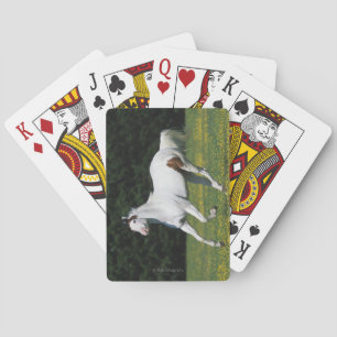 Golden Retriever Headshot 3 Deck Of C - Customized Spielkarten