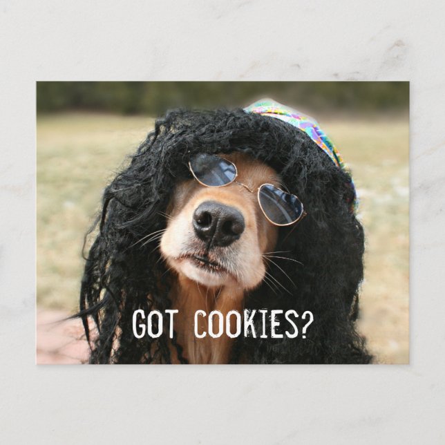 Golden Retriever Hippie "Got Cookies?" Postkarte (Vorderseite)