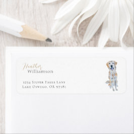 Golden Retriever Hund