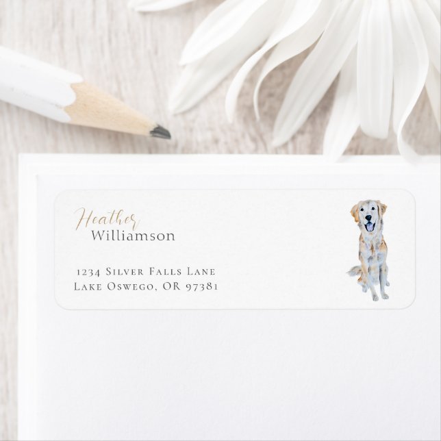 Golden Retriever Hund (Insitu)