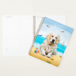 Golden Retriever Hund am Strand Planer