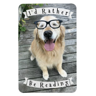 Golden retriever-Hund, den ich vielmehr lesen Magnet