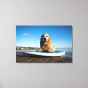 Golden retriever-Hund, der auf ein Paddel-Brett Leinwanddruck