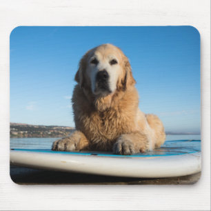 Golden retriever-Hund, der auf ein Paddel-Brett Mousepad
