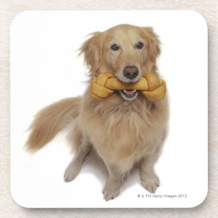 Golden retriever-Hund, der Knochen im Mund hält Getränkeuntersetzer