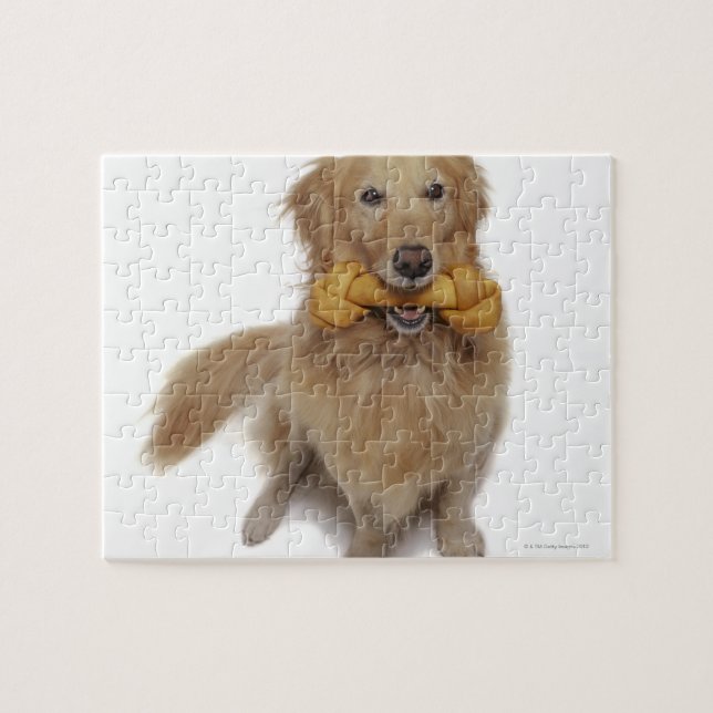 Golden Retriever Hund, der Knochen im Mund hält Puzzle (Horizontal)