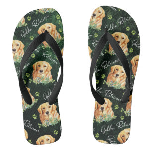 Golden Retriever Hund, Eukalyptus Blätter, Paw Pri Flip Flops