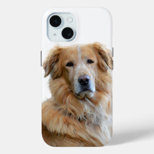 Golden Retriever Hund Foto Case-Mate iPhone Hülle