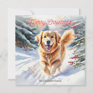 Golden Retriever Hund Goldie im Schnee Weihnachten