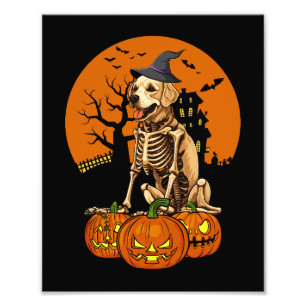 Golden Retriever Hund Halloween Fotodruck