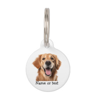Golden Retriever Hund Haustier Tier Haustiermarke