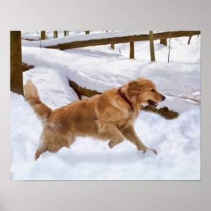 Golden Retriever Hund im Schnee Poster