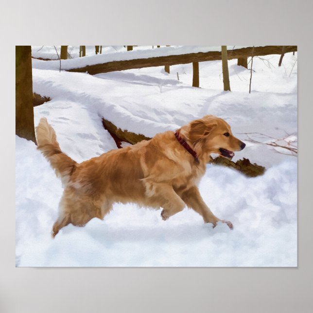 Golden Retriever Hund im Schnee Poster (Vorne)