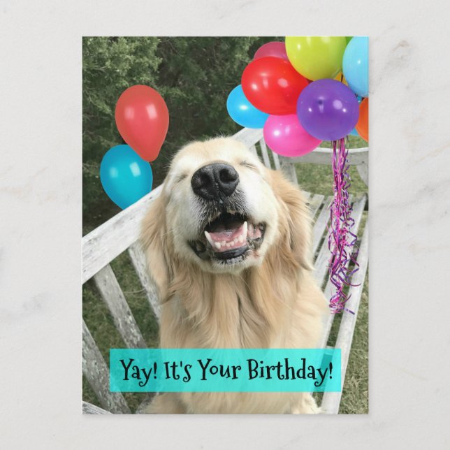 Golden Retriever Hund mit Balloons Geburtstag Postkarte (Vorderseite)