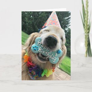 Golden Retriever Hund mit Leckerei Happy Birthday Karte