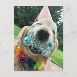 Golden Retriever Hund mit Leckerei Happy Birthday Postkarte