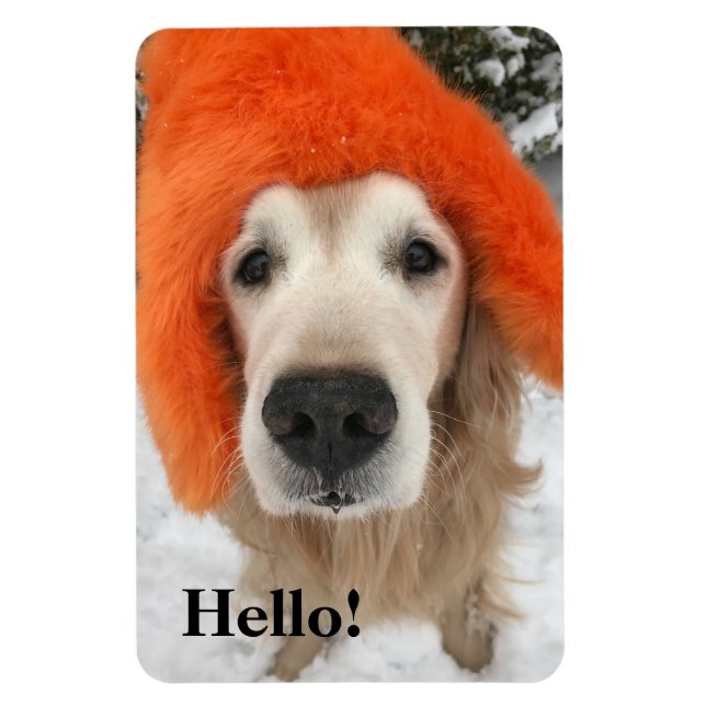 Golden Retriever Hund mit Orange Fuzzy Hat im Schn Magnet (Vertikal)