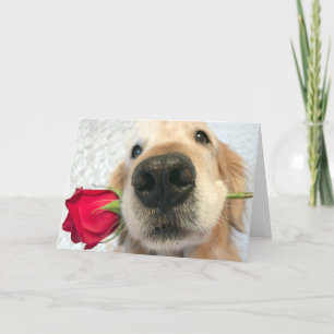 Golden Retriever Hund mit Rote Rose Valentinstag Feiertagskarte