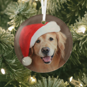 Golden Retriever Hund mit roter Weihnachtsmannmütz Ornament Aus Glas