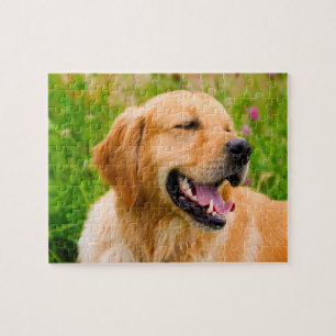 Golden Retriever Hund . Puzzle