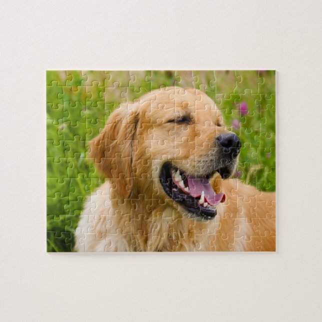 Golden Retriever Hund . Puzzle (Horizontal)