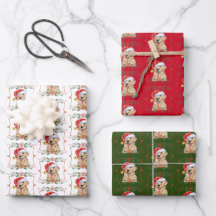 Golden Retriever Hund Santa Weihnachten
