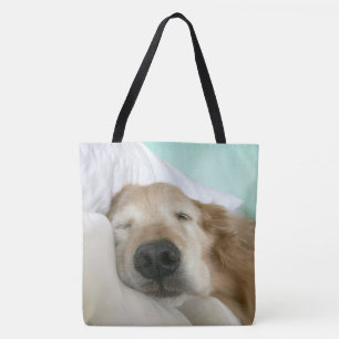 Golden retriever-Hund schlafend auf Kissen