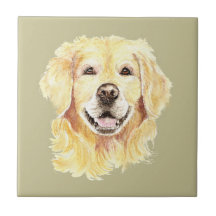 Golden Retriever Hund Tier