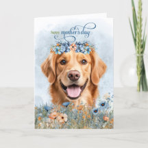 Golden Retriever Hund Wildblumen Muttertag