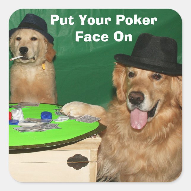 Golden Retriever Hunde Poker spielen Quadratischer Aufkleber (Vorderseite)