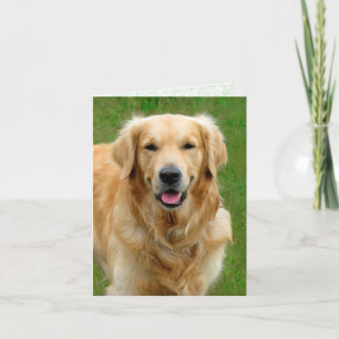 Golden Retriever - Hunde Sympathie Card Karte