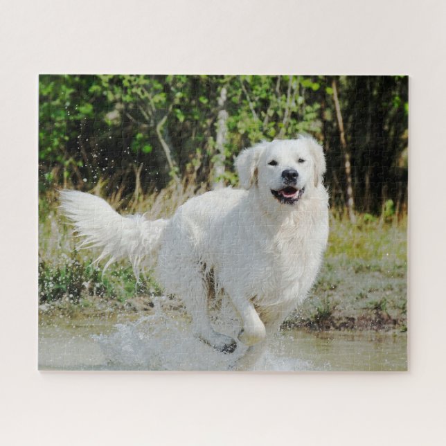 Golden Retriever Hunde Tier glücklich läuft Puzzle (Horizontal)