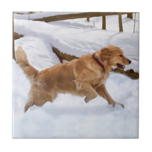 Golden retriever-Hundefliese Fliese