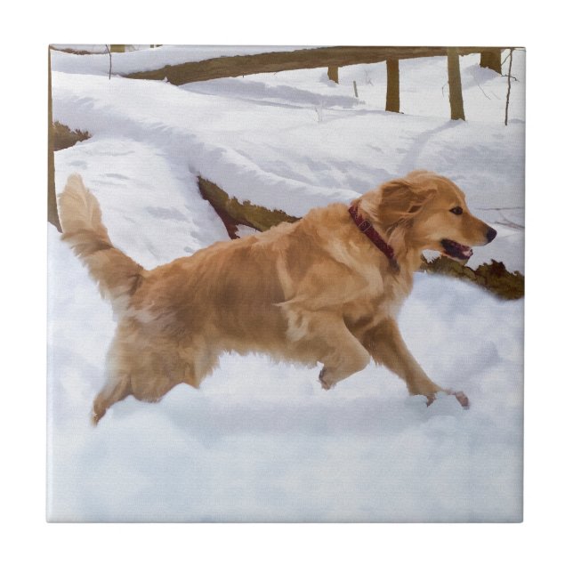 Golden retriever-Hundefliese Fliese (Vorderseite)