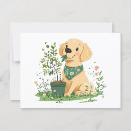 Golden Retriever Hundegarten Postkarte